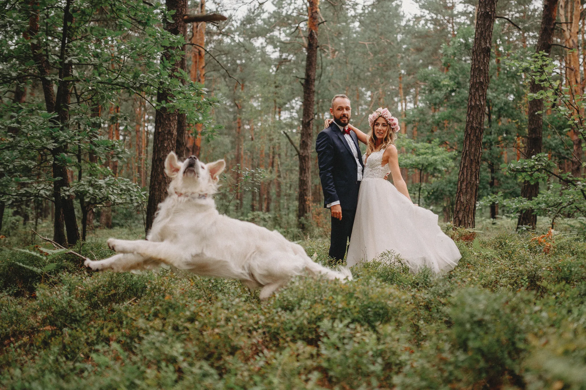 Zdjęcie galerii 163