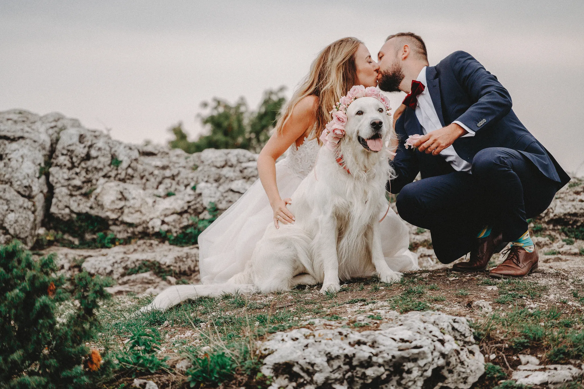 Zdjęcie galerii 184